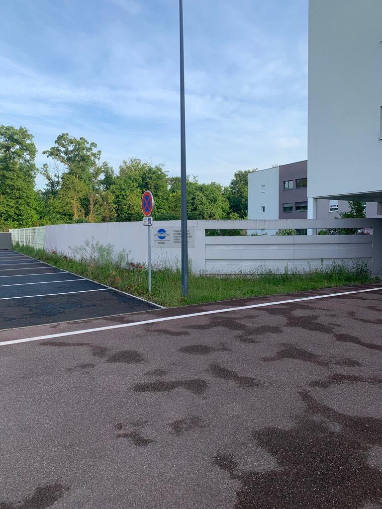 281083562_739612833877728_8216791574879825819_N | Clean glass 68 Découvrez notre dernière prestation d’entretien des espaces verts Mulhouse 0