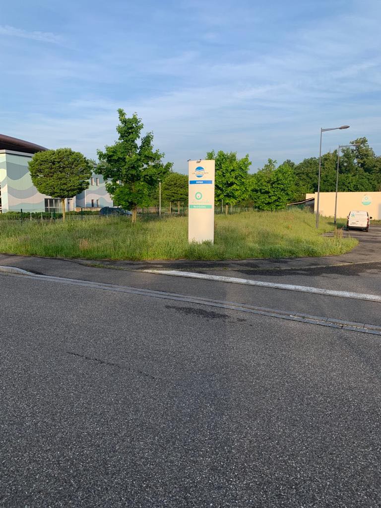 281688969_987742648770472_3112011583965298433_N | Clean glass 68 Découvrez notre dernière prestation d’entretien des espaces verts Mulhouse