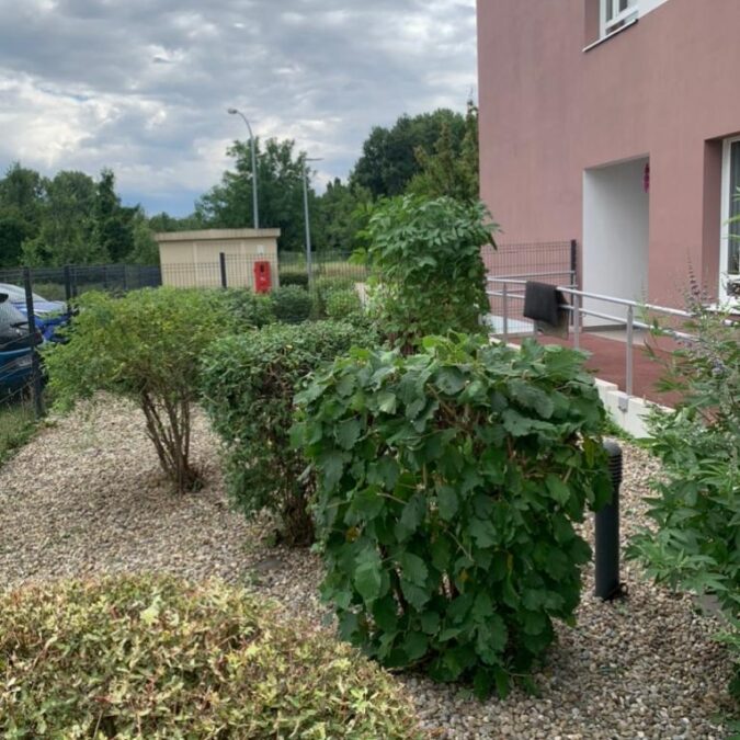 Entretien Espaces Verts Ehpad Les Fontaines Horbourg-Wihr Colmar 16