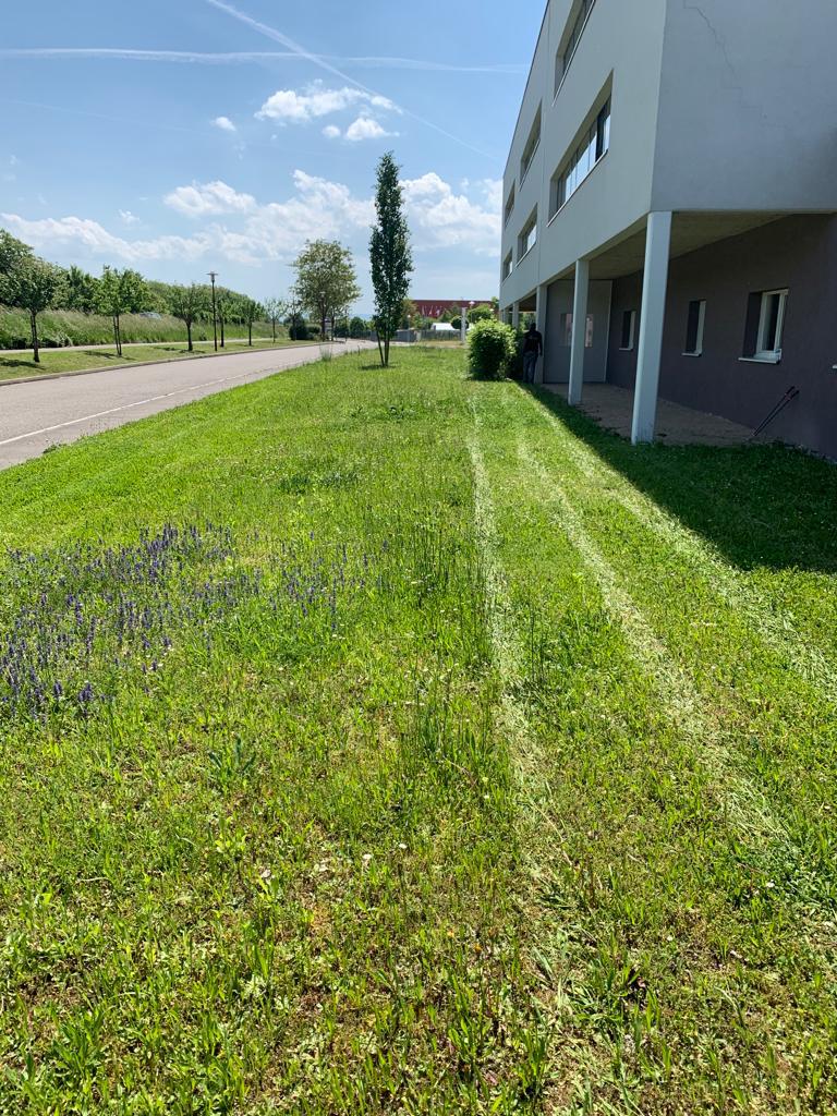 CLEANGLASS MEDIAS EHPAD LES FONTAINES 20 | Clean glass 68 Quelles sont les missions d’un agent d’entretien des espaces verts ? Cernay