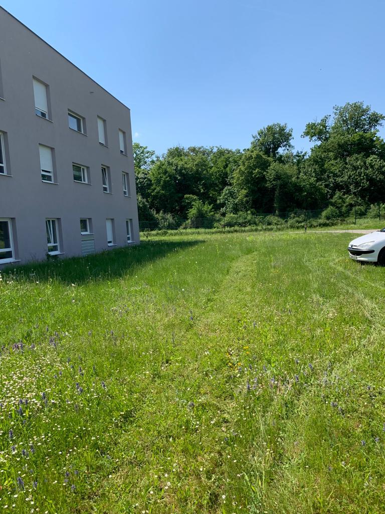 Entretien d’espaces verts pour les collectivit&eacute;s et professionnels &agrave; proximit&eacute; de Colmar et Saint-Louis Illzach