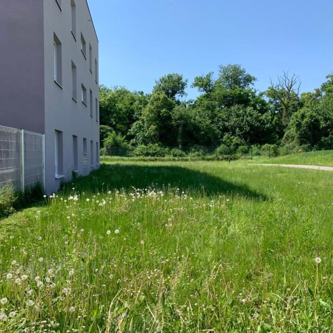 D&eacute;couvrez notre derni&egrave;re prestation en entretien d’espaces verts Guebwiller 0