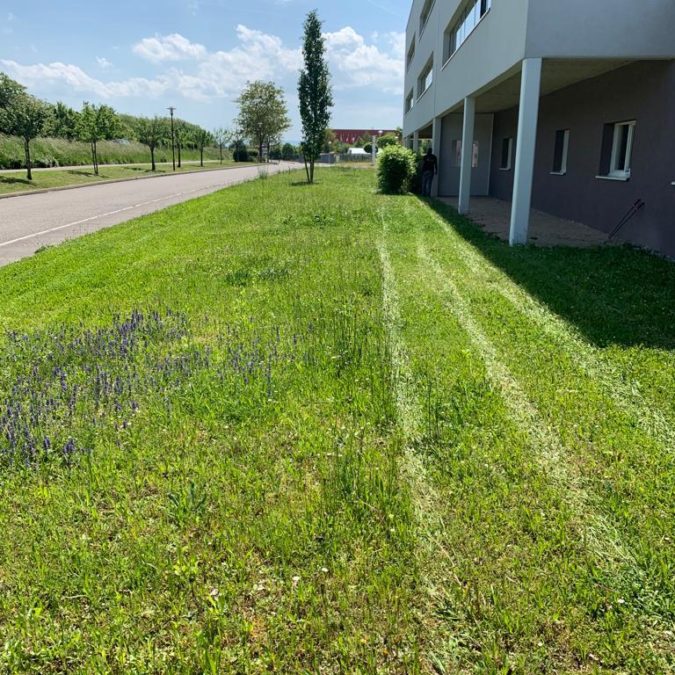 D&eacute;couvrez notre derni&egrave;re prestation en entretien d’espaces verts Saint-Di&eacute;-des-Vosges 15