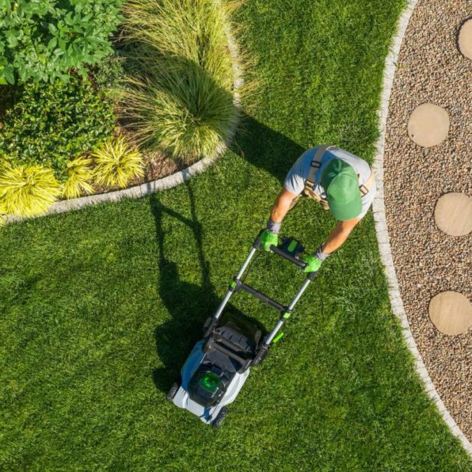 Quels sont les avantages de faire appel &agrave; un professionnel pour l&rsquo;entretien des jardins et des parcs ? Mulhouse