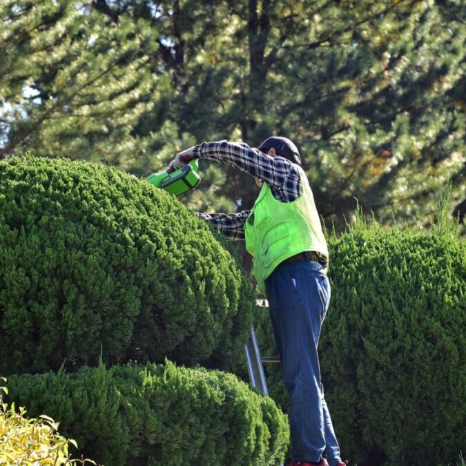 Comment choisir un professionnel pour l’entretien des espaces verts ? Erstein