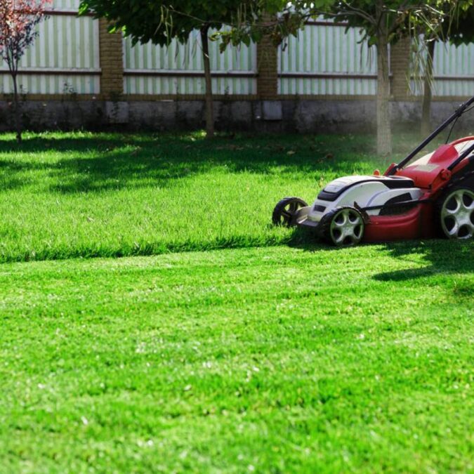 Pourquoi entretenir les espaces verts et ext&eacute;rieurs en entreprise&thinsp;? Guebwiller